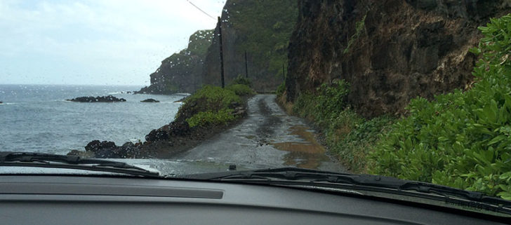 Road to Hana 28