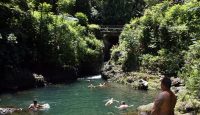 a group of people swimming in a river