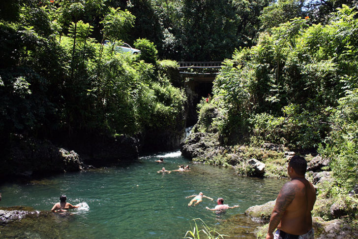 Road to Hana 5