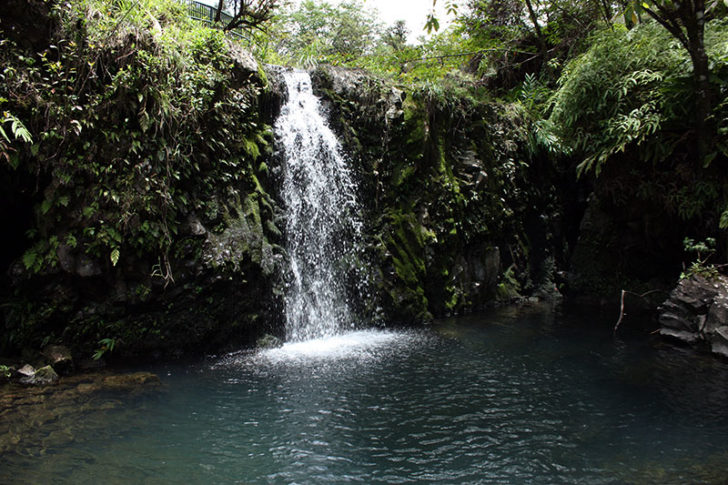 Road to Hana 9