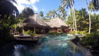 a pool with a thatched roof and a hut in the background