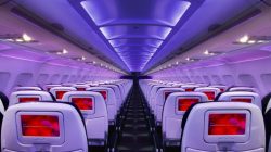 rows of seats in an airplane