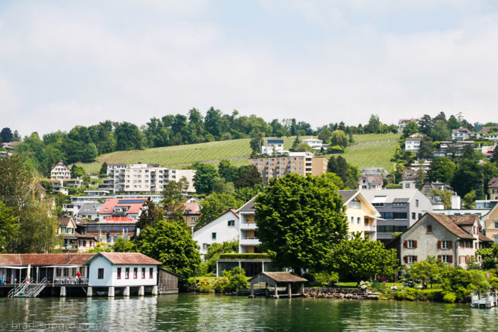 zurich-vineyard