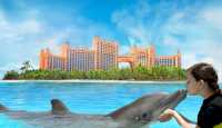 a dolphin in the water with a hand on its head with Atlantis Paradise Island in the background