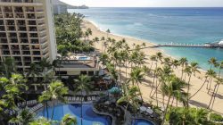 a swimming pool and palm trees on a beach