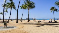 a beach with palm trees and people on it
