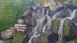 Review: Hilton Hawaiian Village Waikiki Beach Resort