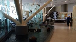 a fountain in a building