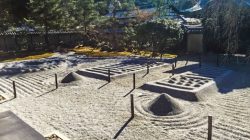 a sand garden with a group of sand piles and a building