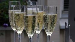 Devil's Advocate Trip Review: Ryanair Business Plus (Yes, Really)