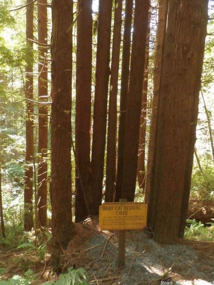 p5270031