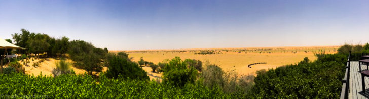 al-maha-panoramic