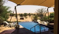 a pool with a canopy over it