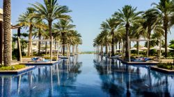 a pool with lounge chairs and palm trees