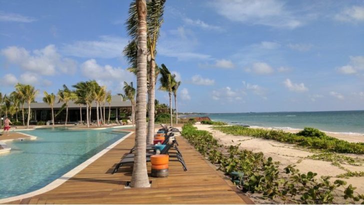 a pool with palm trees and chairs on a beach