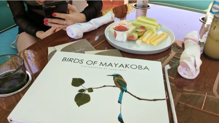 a book on a table
