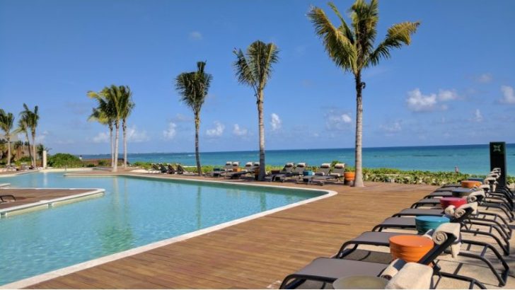 a pool with palm trees and chairs