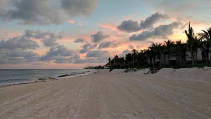 a sandy beach with palm trees and buildings