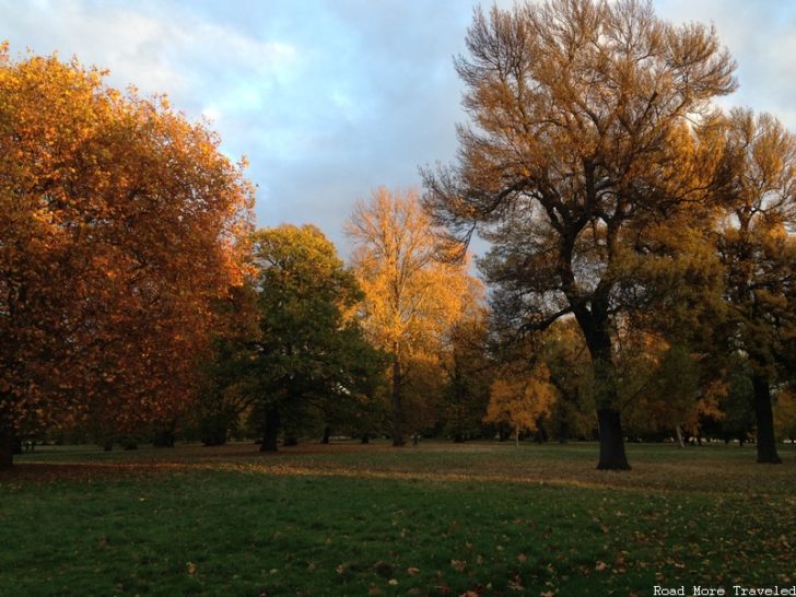 24 hours in London - admire the fall color