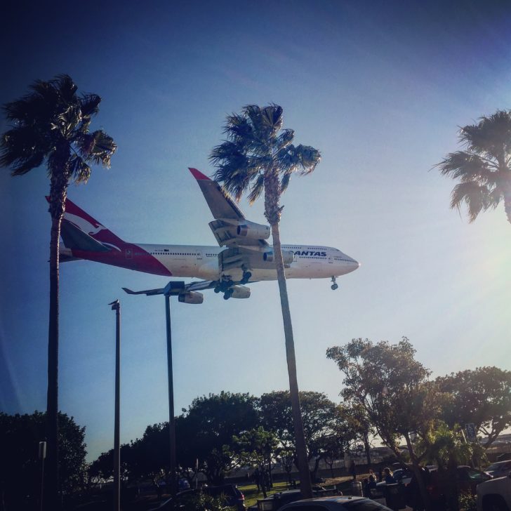 a plane flying over palm trees