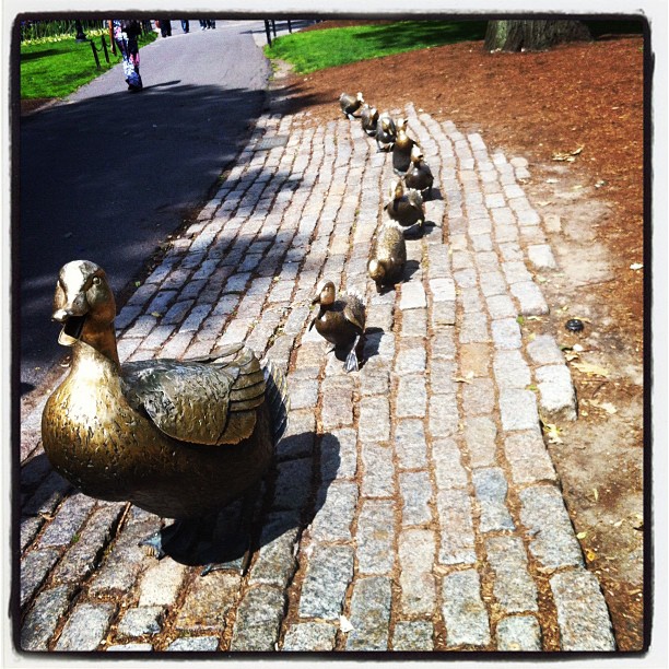 Make Way for Ducklings