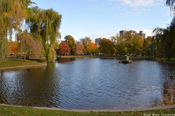 Public Garden - fall foliage