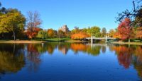 Boston Public Garden - fall foliage and bridge