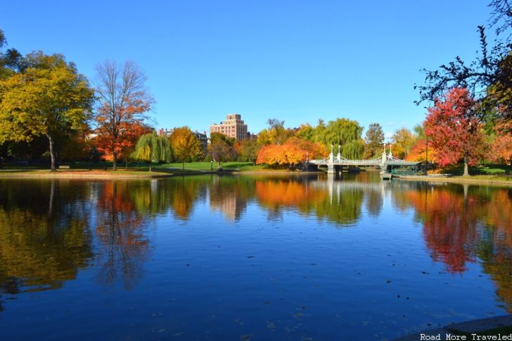 Boston Public Garden - fall foliage and bridge