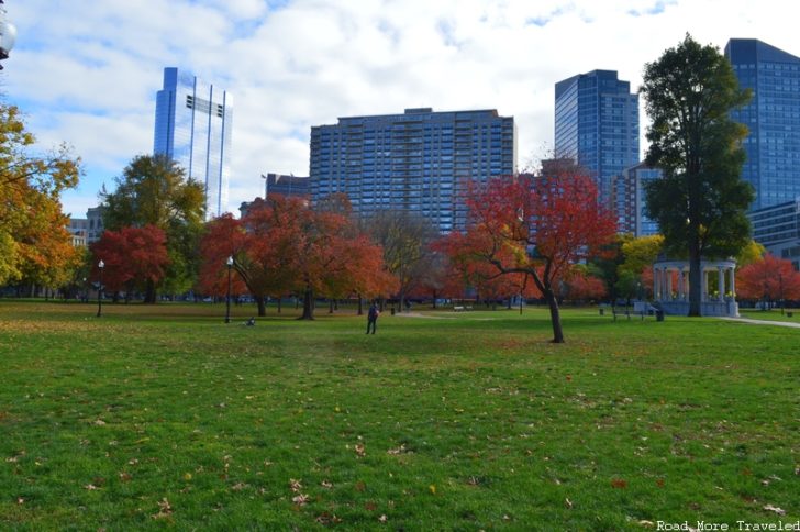 Boston Common - city view