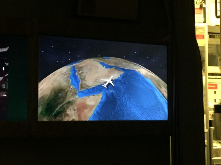 a screen shot of a plane flying over the earth