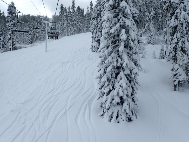 a snow covered trees and a ski lift