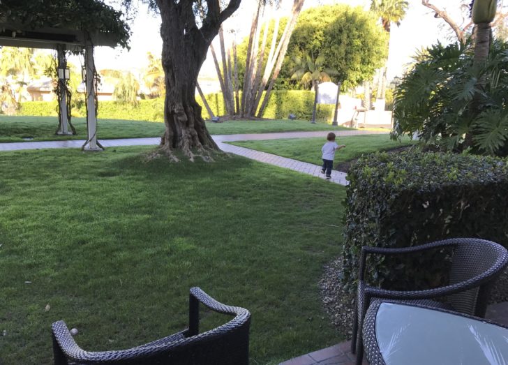 a child playing in a lawn