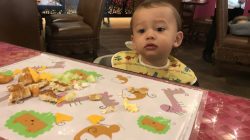 Essential for Traveling with Babies: Disposable Placemats