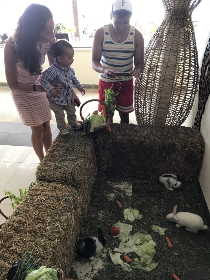 a group of people standing next to a rabbit
