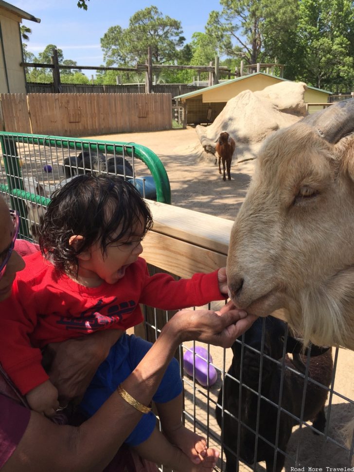 Alabama Gulf Coast Zoo