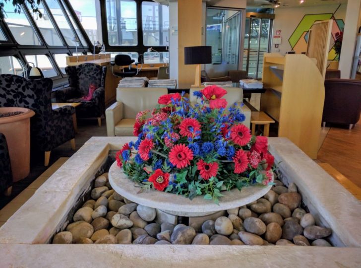 a plant in a stone bowl with flowers