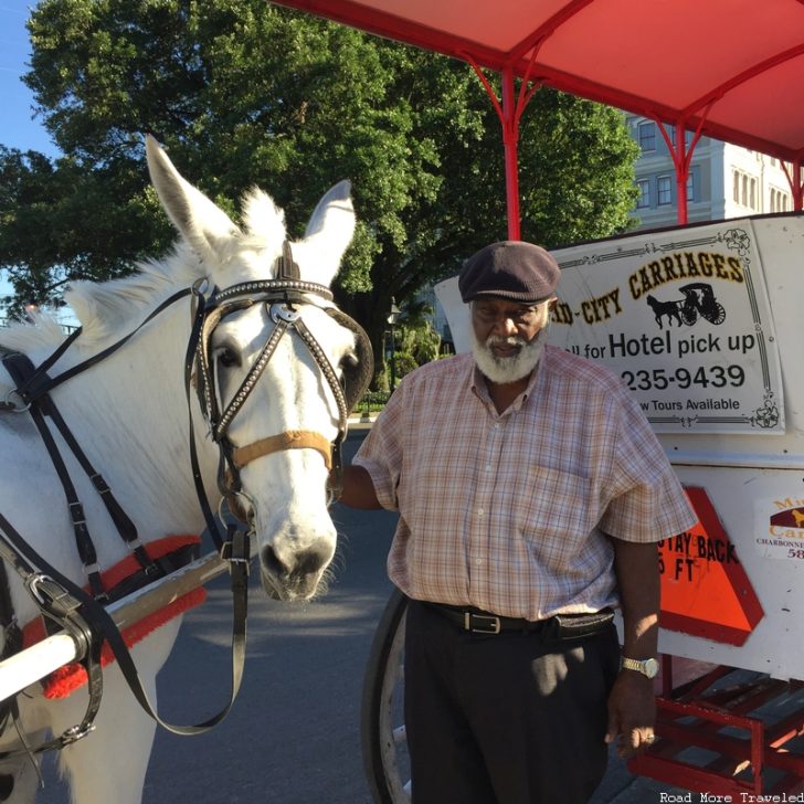 Carriage with mule and driver