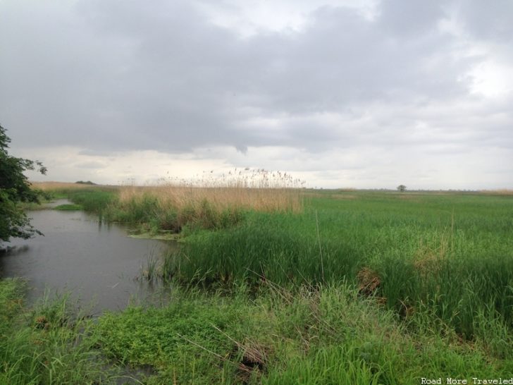 Creole Nature Trail - Wetland Walkway