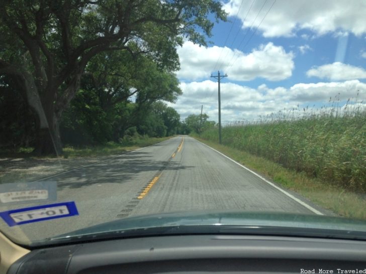 Creole Nature Trail - Oak Grove