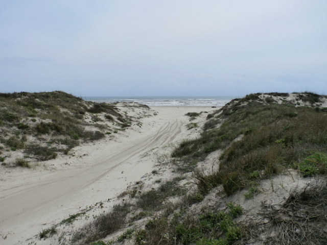 Padre Island National Seashore