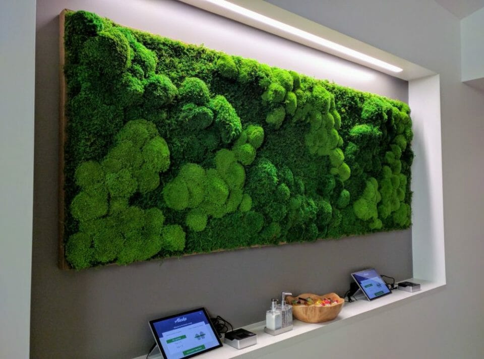 living wall