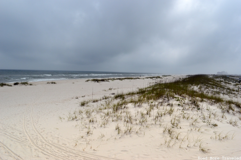 Dunes at Johnson Beach, Florida