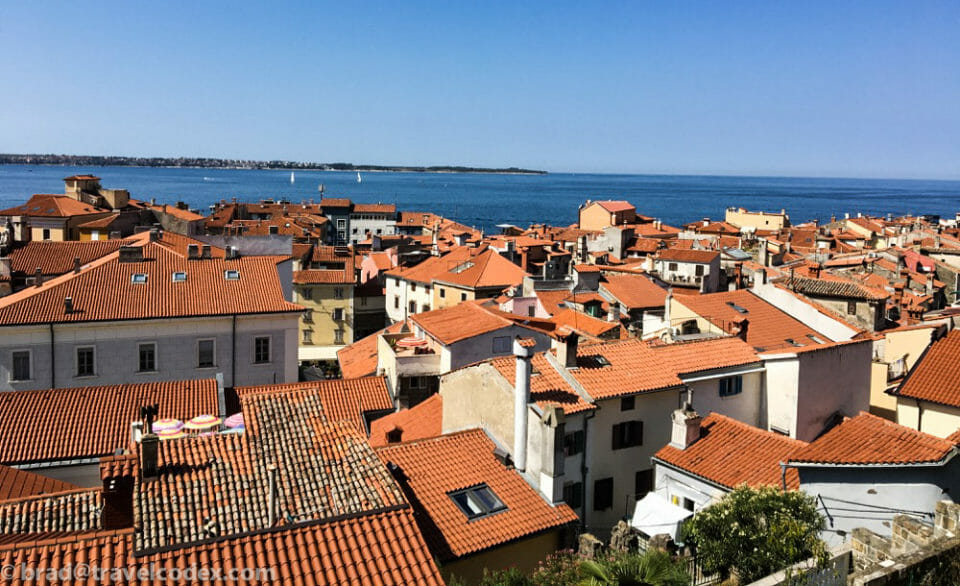 a group of buildings with red roofs and a body of water