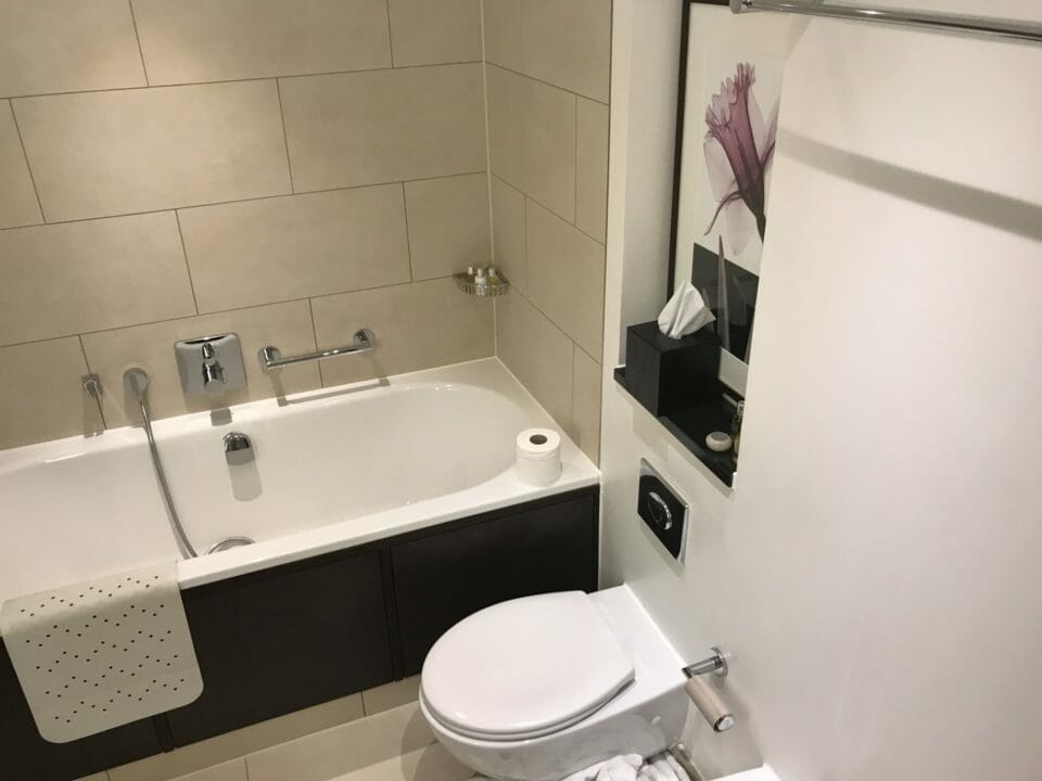 a bathroom with a toilet and bathtub