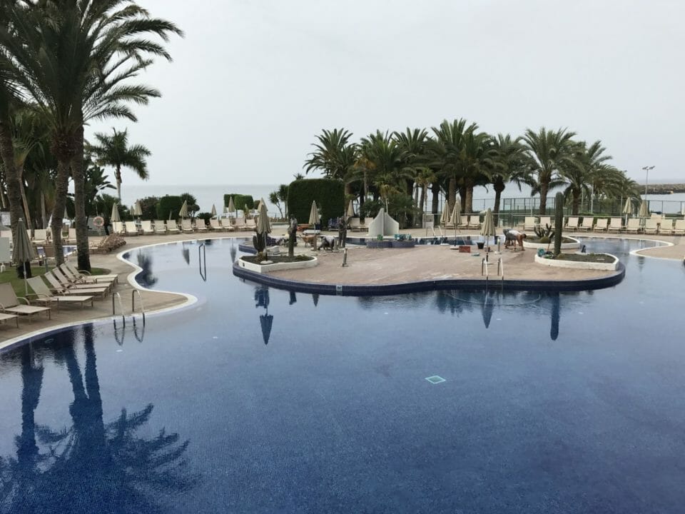 a pool with palm trees and chairs
