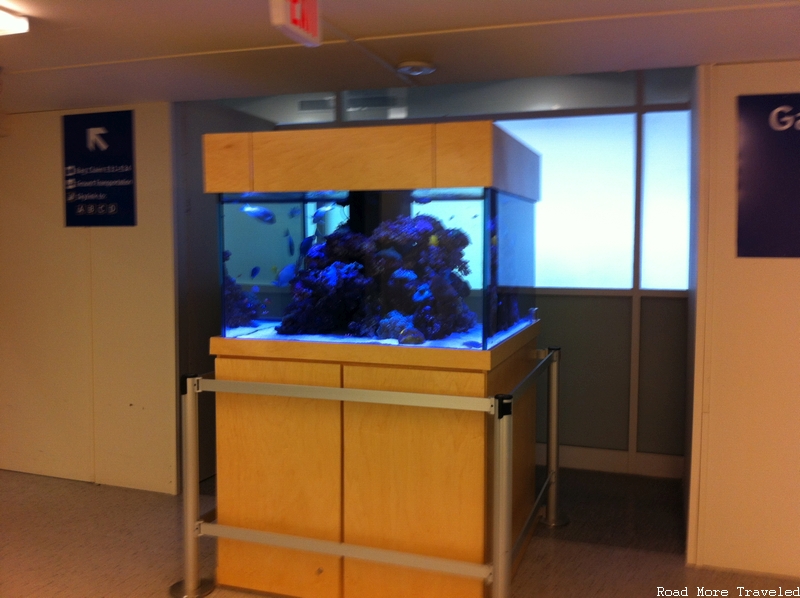 DFW Airport Terminal E - fish tank