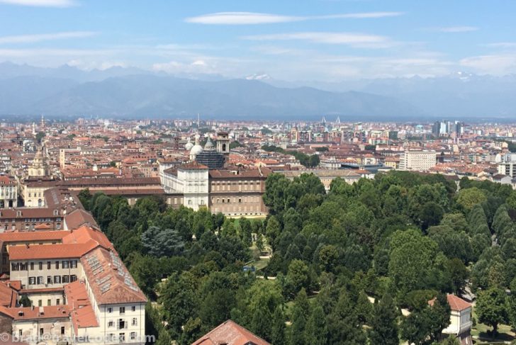 a city with trees and buildings