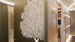 a room with a tree on it