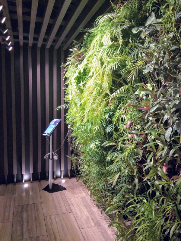 a green wall with plants on it