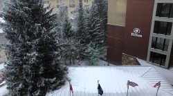 a building with snow on roof and trees
